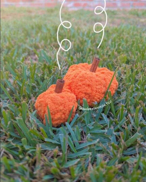 Crochet Pumpkin Plush on a grassy background with drawn wisps coming out of the stem, which is made of cinnamon sticks.